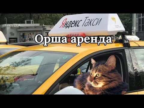 Орша-Аренда сколько можно заработать?! Орша-Аренда сколько можно заработать?!
