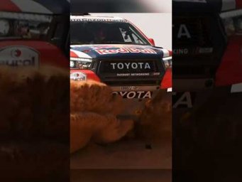 Rally 