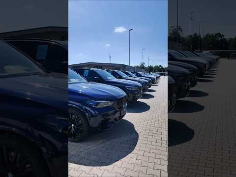 X5 X5 X5 X5