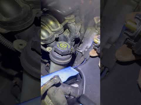 Как правильно устанавливать термостат на Ford Focus 2 115 л.с. Как правильно устанавливать термостат на Ford Focus 2 115 л.с.