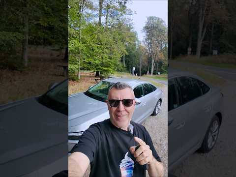 Тачку в лесу нашёл Тачку в лесу нашёл