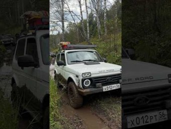 31 августа 2026 г.