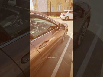 Стандартное сообщение от шефа
