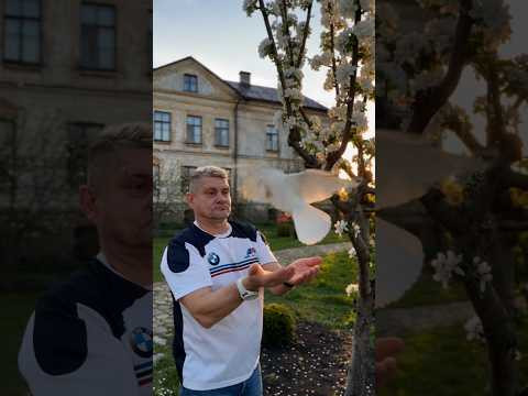 Мы выбираем лучшее Мы выбираем лучшее