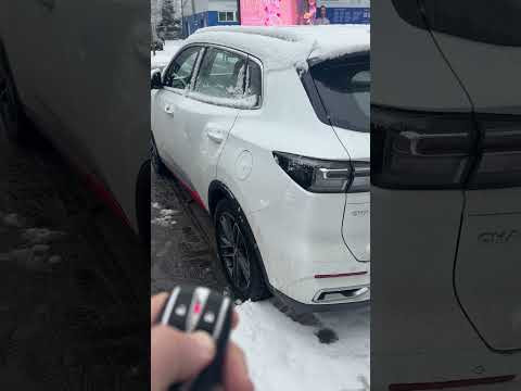 Плюс китайских авто Плюс китайских авто