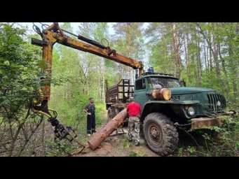 УРАЛ Лесовоз по низу рынка. Это было на грани...