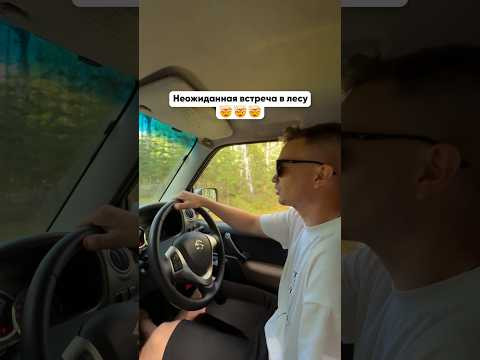 Неожиданная встреча в лесу Неожиданная встреча в лесу