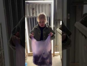 #funny #family #funnyvideo #couple #humor