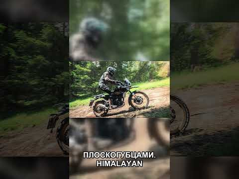 Royal Enfield Himalayan: почему простота снова победила