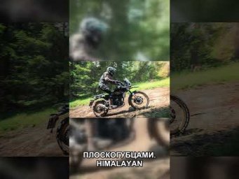 Royal Enfield Himalayan: почему простота снова победила