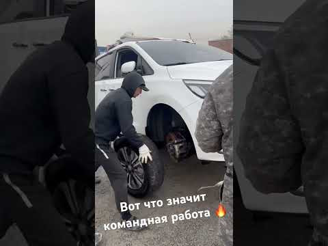 #шелков #максимшелков #бишкек #таможня #кыргызстан
