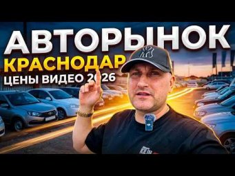 АВТОРЫНОК КРАСНОДАРА СЕГОДНЯ, ЦЕНЫ ВИДЕО ИЮЛЬ 2026
