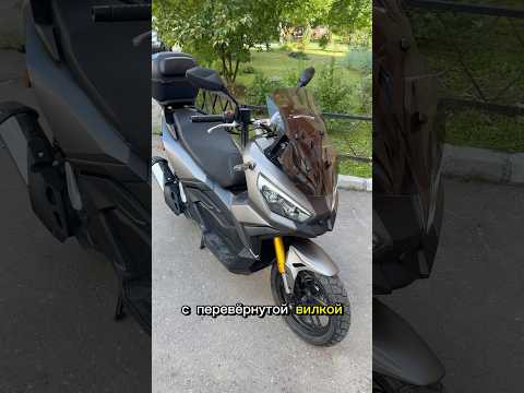 Купил Tezza WOLF X ADV 2026