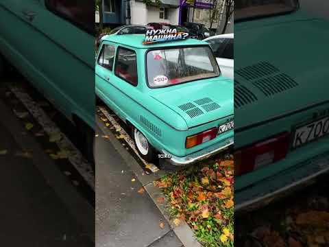 УКРАИНСКИЙ ЗАПОРОЖЕЦ - У КОГО ТАКОЙ БЫЛ? #факты #автоподбор #ильяушаев УКРАИНСКИЙ ЗАПОРОЖЕЦ - У КОГО ТАКОЙ БЫЛ? #факты #автоподбор #ильяушаев