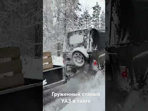 На груженном старом, но сильным духом УАЗе везем через тайгу пиломатериал в Простоквашино. #тайга На груженном старом, но сильным духом УАЗе везем через тайгу пиломатериал в Простоквашино. #тайга