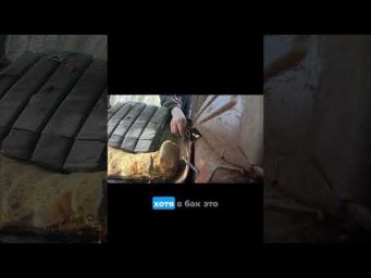 МТЗ поставили на капельницу. Такого ещё не было
