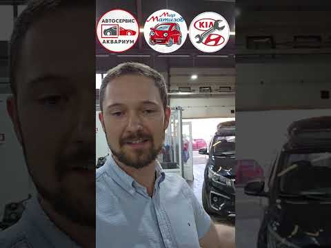 Kia Carnival 2.2-удаление сажевого фильтра, удаление системы AdBlue Kia Carnival 2.2-удаление сажевого фильтра, удаление системы AdBlue