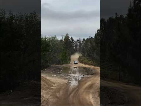 On the brink of catastrophe! Это невероятно! Rally WRC 