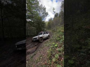 31 августа 2026 г.