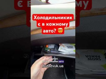 ‼️Холодильник є в кожному авто?