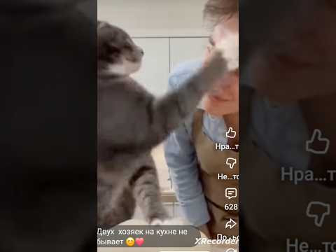 Грабли по лбу.