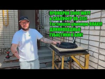 ПРОЖАРКА 3000 WATT в САБВУФЕР DB-315! Тестируем уличную ПЛАХУ! ДЛИННОХОДНЫЕ ГУБАСТИКИ В БОЙ))))