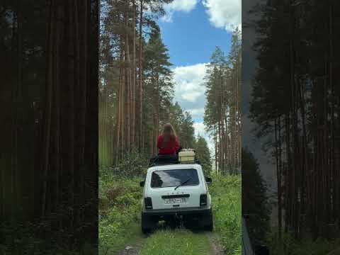 31 августа 2026 г.