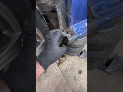 По братски джопень