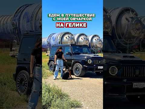 На Гелике с овчаркой едем в путешествие #собака #automobile На Гелике с овчаркой едем в путешествие #собака #automobile