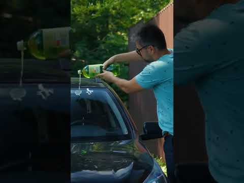 Самый жёсткий тест дворников Самый жёсткий тест дворников