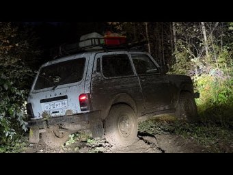 НИВЫ ПОЧТИ СДАЛИСЬ Экспедиция на Нивах к заброшенной деревне