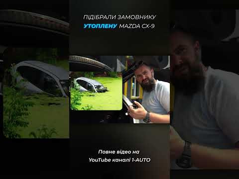 Чи можна купляти топляка зі Штатів? Чи можна купляти топляка зі Штатів?
