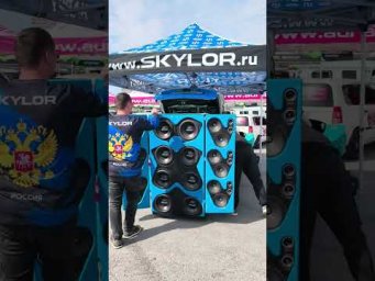 skylor