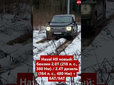 Toyota Land Cruiser 300 или Chevrolet Tahoe: старая школа рамных, или лучше новый Haval H9 взять? Toyota Land Cruiser 300 или Chevrolet Tahoe: старая школа рамных, или лучше новый Haval H9 взять?