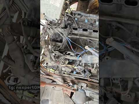 TG: nexpertGM Зачем его сделали и какая у него судьба.. #shorts #независимыйэксперт #георгиймедведев